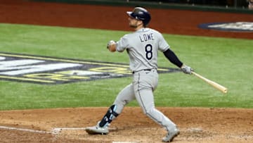 Brandon Lowe Tampa Bay Rays Mandatory Credit: Kevin Jairaj-USA TODAY Sports