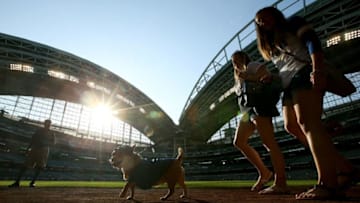 MILWAUKEE, WI - MAY 24: Fans walk their dog around the field during "Bark at the Park" night before the game between the Milwaukee Brewers and New York Mets at Miller Park on May 24, 2018 in Milwaukee, Wisconsin. (Photo by Dylan Buell/Getty Images)