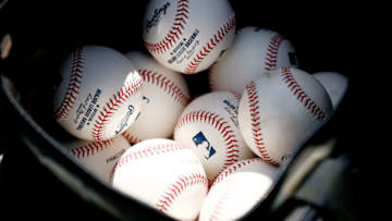 (Photo by Michael Reaves/Getty Images)