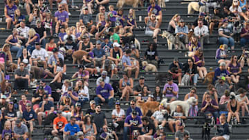DENVER, CO - AUGUST 13: Fans and their dogs watch the game from the "rockpile" bleacher seat section in a general view during "Bark at the Park" promotion during a game between the Colorado Rockies and the Arizona Diamondbacks at Coors Field on August 13, 2019 in Denver, Colorado. (Photo by Dustin Bradford/Getty Images)