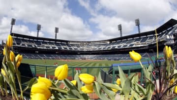 (Photo by Justin K. Aller/Getty Images)