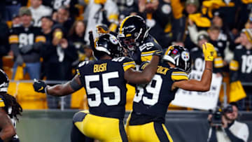 Minkah Fitzpatrick #39 of the Pittsburgh Steelers (Photo by Justin K. Aller/Getty Images)