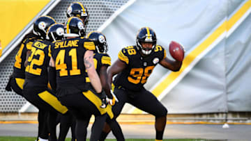 Vince Williams #98 of the Pittsburgh Steelers (Photo by Joe Sargent/Getty Images)