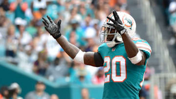 Miami Dolphins free safety Reshad Jones (20). Mandatory Credit: Steve Mitchell-USA TODAY Sports