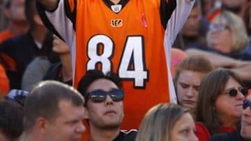 Oct 23, 2016; Cincinnati, OH, USA; A fan holds a sign during the second half in a game with the Cleveland Browns and the Cincinnati Bengals at Paul Brown Stadium. The Bengals won 31-17. Mandatory Credit: David Kohl-USA TODAY Sports