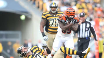 Nov 1, 2015; Pittsburgh, PA, USA; Cincinnati Bengals defensive end Wallace Gilberry (95) reacts after sacking Pittsburgh Steelers quarterback Ben Roethlisberger (7) during the fourth quarter at Heinz Field. The Bengals won 16-10. Mandatory Credit: Charles LeClaire-USA TODAY Sports