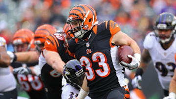 Jan 1, 2017; Cincinnati, OH, USA; Cincinnati Bengals running back Rex Burkhead (33) carries the ball for a touchdown after breaking a tackle against Baltimore Ravens strong safety Matt Elam (33) in the first half at Paul Brown Stadium. Mandatory Credit: Aaron Doster-USA TODAY Sports