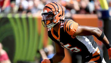 Cincinnati Bengals, Damion Willis (Photo by Bobby Ellis/Getty Images)