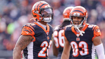 CINCINNATI, OH - DECEMBER 15: Joe Mixon #28 of the Cincinnati Bengals reacts during the game against the New England Patriots at Paul Brown Stadium on December 15, 2019 in Cincinnati, Ohio. (Photo by Michael Hickey/Getty Images)
