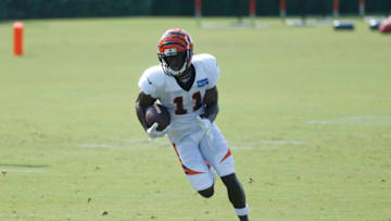 Cincinnati Bengals (Photo by Joe Robbins/Getty Images)