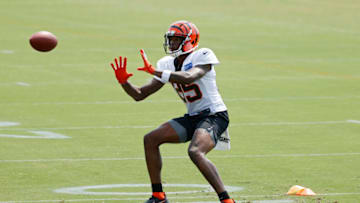 Cincinnati Bengals (Photo by Joe Robbins/Getty Images)