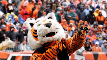 CINCINNATI, OH - NOVEMBER 27: Who Dey the Cincinnati Bengals mascot on the field during the game against the Cleveland Browns at Paul Brown Stadium on November 27, 2011 in Cincinnati, Ohio. (Photo by Tyler Barrick /Getty Images)