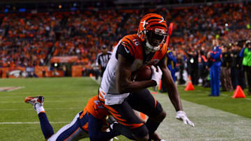 Cincinnati Bengals (Photo by Dustin Bradford/Getty Images)
