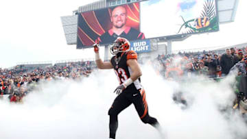 CINCINNATI, OH - JANUARY 1: Rex Burkhead #33 of the Cincinnati Bengals is introduced to the crowd prior to the start of the game against the Baltimore Ravens at Paul Brown Stadium on January 1, 2017 in Cincinnati, Ohio. (Photo by John Grieshop/Getty Images)