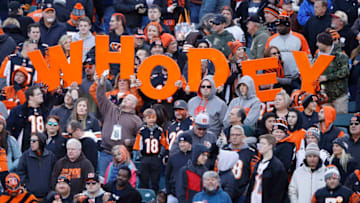 CINCINNATI, OH - NOVEMBER 26: Cincinnati Bengals fans are seen in the second half of a game against the Cleveland Browns at Paul Brown Stadium on November 26, 2017 in Cincinnati, Ohio. The Bengals won 30-16. (Photo by Joe Robbins/Getty Images)