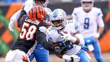 CINCINNATI, OH - DECEMBER 24: Theo Riddick