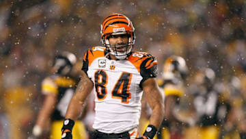 PITTSBURGH - NOVEMBER 20: T.J. Houshmandzadeh