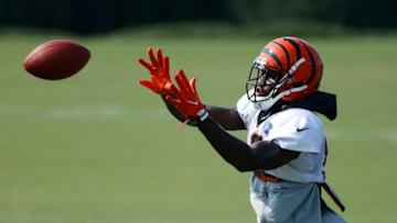 Auden Tate, Cincinnati Bengals. (Photo by Joe Robbins/Getty Images)