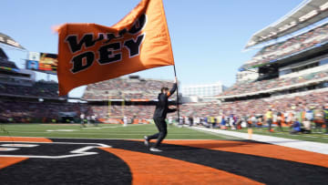 Cincinnati Bengals (Photo by Bryan Woolston/Getty Images)