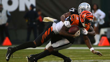 Auden Tate #19 of the Cincinnati Bengals (Photo by Robert Reiners/Getty Images)