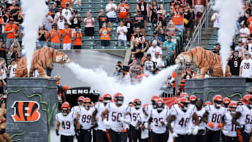 Cincinnati Bengals (Photo by Dylan Buell/Getty Images)