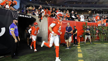 Cincinnati Bengals. (Photo by Dylan Buell/Getty Images)