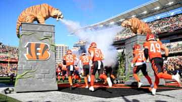 Cincinnati Bengals. (Photo by Justin Casterline/Getty Images)