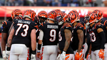 Cincinnati Bengals. (Photo by Kevin C. Cox/Getty Images)