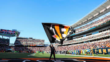 Cincinnati Bengals (Photo by Silas Walker/Getty Images)