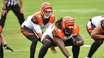 Bengals, Trey Hopkins Mandatory Credit: Eric Hartline-USA TODAY Sports
