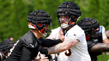 Cincinnati Bengals, Bengals training camp (Mandatory Credit: Kareem Elgazzar-USA TODAY Sports)