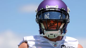 (Matt Krohn-USA TODAY Sports) Harrison Smith