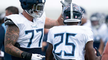 Tennessee Titans Mandatory Credit: George Walker IV-USA TODAY Sports