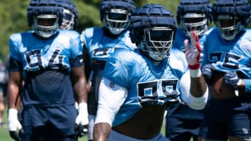 Tennessee Titans (Mandatory Credit: The Tennessean)
