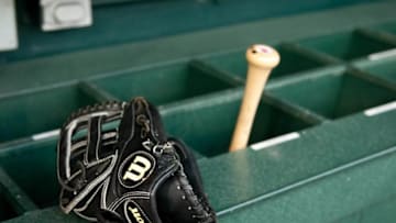 May 12, 2015; Detroit, MI, USA; A detailed view of a baseball glove and bat before the game between the Detroit Tigers and the Minnesota Twins at Comerica Park. Mandatory Credit: Tim Fuller-USA TODAY Sports