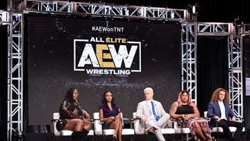 The "AEW/All Elite Wrestling" panel during the TBS + TNT Summer TCA 2019 on July 24, 2019. (Photo by Presley Ann/Getty Images for TNT)