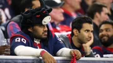 Jan 9, 2016; Houston, TX, USA; A Houston Texans fan reacts during the fourth quarter in a AFC Wild Card playoff football game against the Kansas City Chiefs at NRG Stadium. Kansas City won 30-0.Mandatory Credit: Troy Taormina-USA TODAY Sports