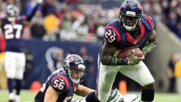 Nov 22, 2015; Houston, TX, USA; Houston Texans strong safety Andre Hal (29) makes the interception during the second half of a game against the against the New York Jets at NRG Stadium. Houston won 24-17. Mandatory Credit: Ray Carlin-USA TODAY Sports