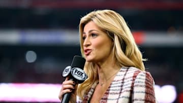 Dec 27, 2015; Glendale, AZ, USA; FOX Sports sideline reporter Erin Andrews on the sideline of the Green Bay Packers game against the Arizona Cardinals at University of Phoenix Stadium. The Cardinals defeated the Packers 38-8. Mandatory Credit: Mark J. Rebilas-USA TODAY Sports