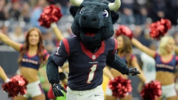 Jan 3, 2016; Houston, TX, USA; The Houston Texans mascot "Toro" reacts against the Jacksonville Jaguars at NRG Stadium. Mandatory Credit: Kirby Lee-USA TODAY Sports