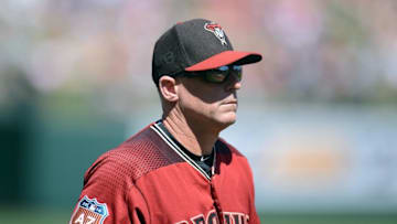 Chip Hale ( Joe Camporeale-USA TODAY Sports)