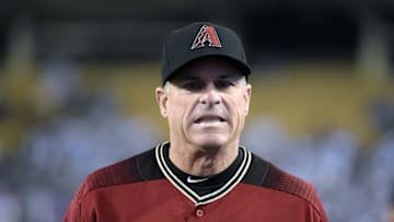 The feeling of every Diamondbacks fan right now. Mandatory Credit: Kirby Lee-USA TODAY Sports