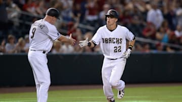 Jake Lamb (Joe Camporeale-USA TODAY Sports)