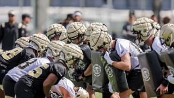 New Orleans Saints - Mandatory Credit: Stephen Lew-USA TODAY Sports