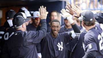 Mar 5, 2016; Tampa, FL, USA; New York Yankees shortstop Jorge Mateo (93) is congratulated in the dugout after his home run against the Boston Red Sox at George M. Steinbrenner Field. Mandatory Credit: Kim Klement-USA TODAY Sports