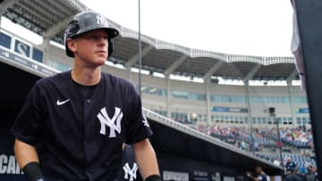 DJ LeMahieu #26 of the New York Yankees (Photo by Mark Brown/Getty Images)