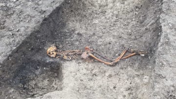 Iron Age skeleton found buried face-down on Wellwick Farm in England.