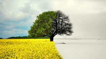 iStock