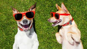 iStock