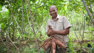 Ramadhan Abdulla holds cassava on his farm in Tanzania.  © Bill & Melinda Gates Foundation/Jake Lyell